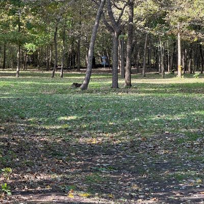Hole 17 pin from tee 10/23/25