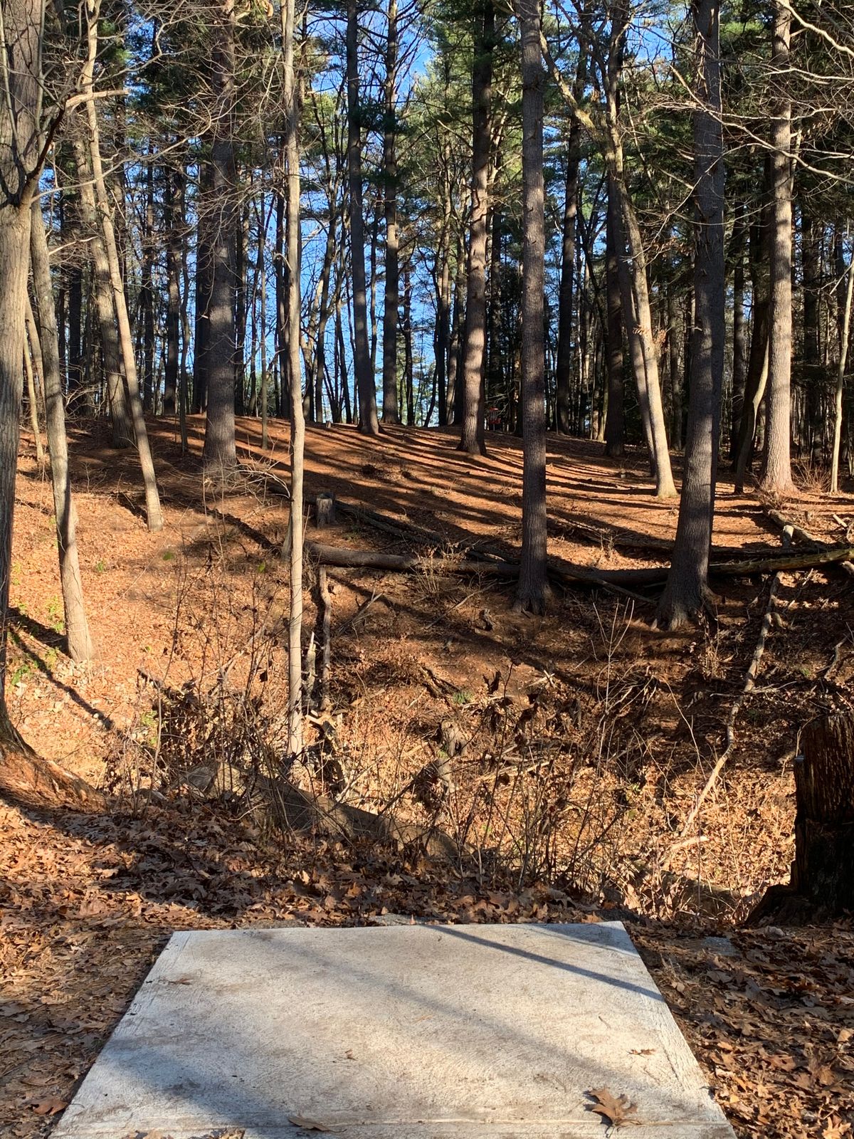 Hole 12