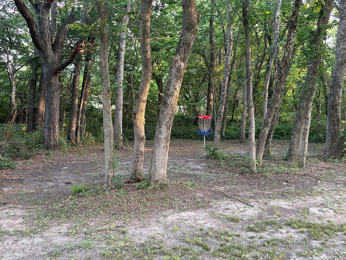 Hole #17 B basket look in through guardians