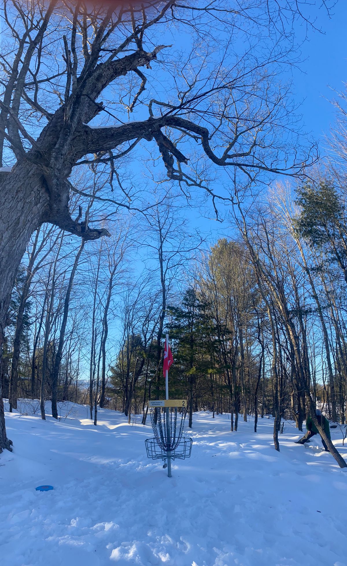 Hole 2 basket