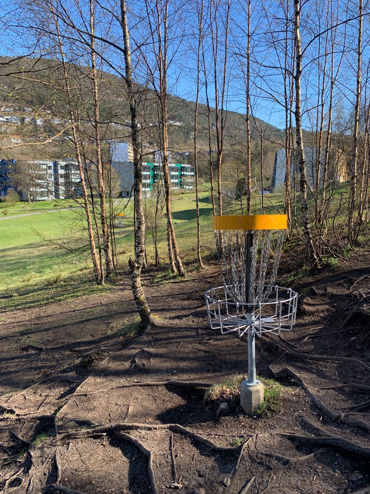 Hole 6