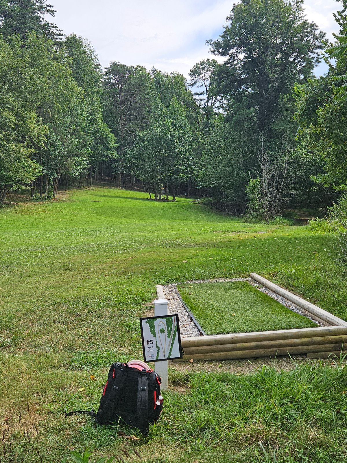 Hole 5 Short Teepad. Short Basket is Straight, Long Basket is Straight then Left.