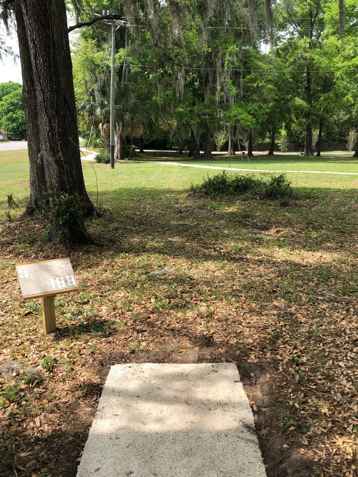 Hole 5, tee to basket