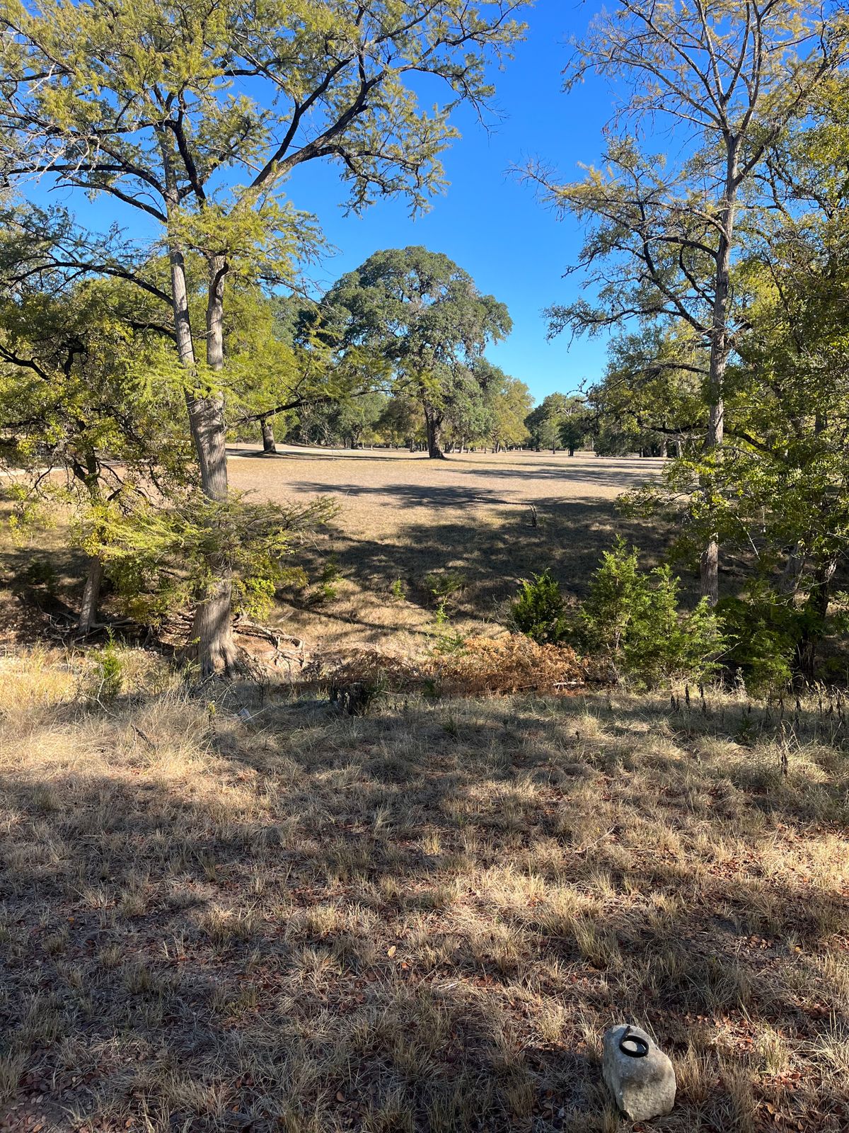 #6 tee….tee shot over Swede Creek. Par 4 basket is to the right