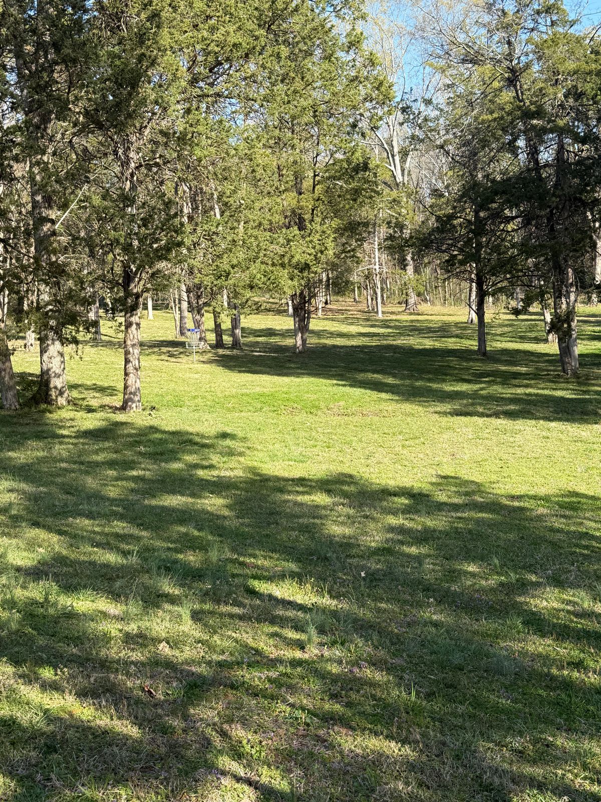 Hole 1 Fairway view Blue DiscCatcher basket