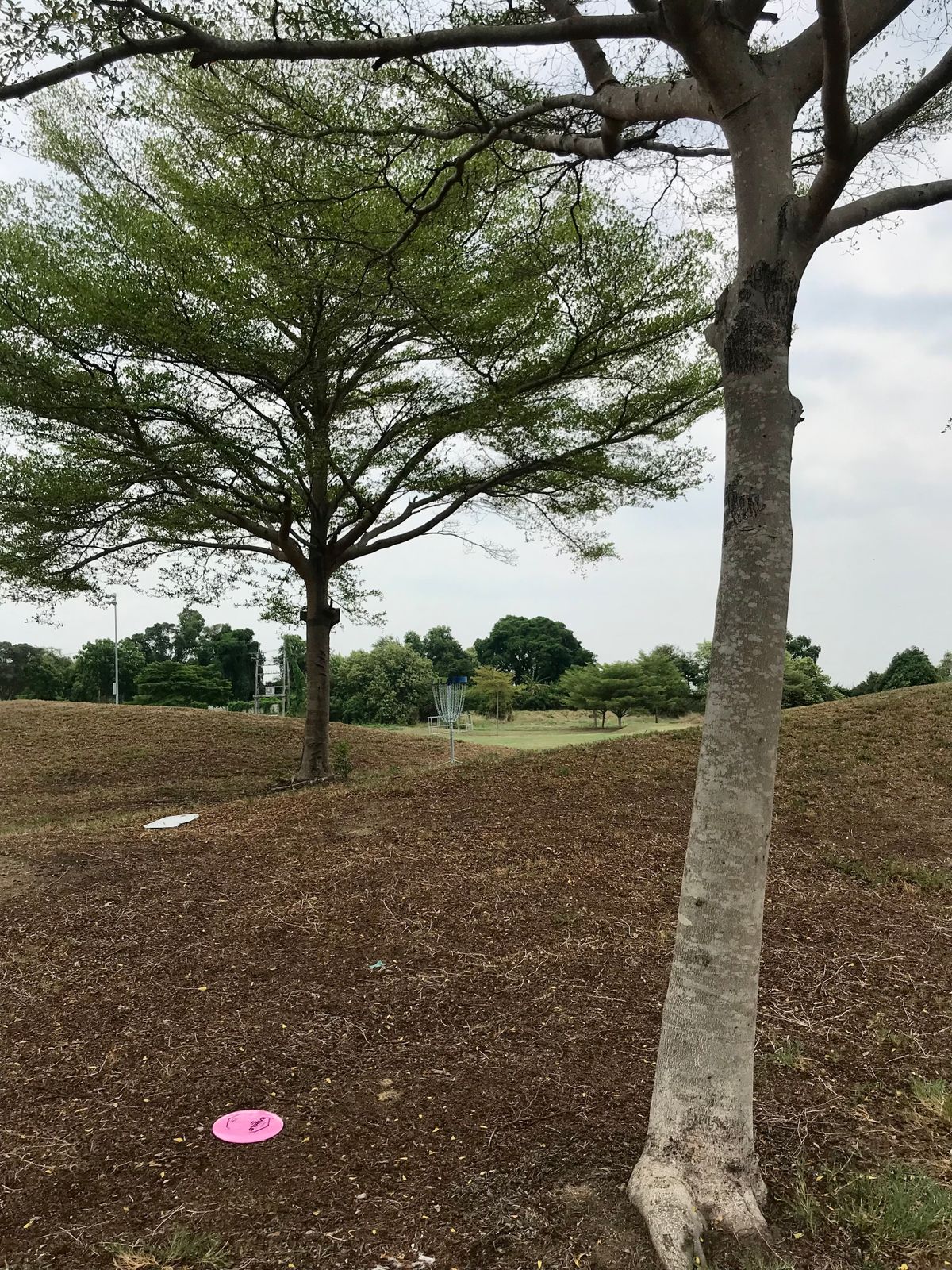 Hole 13 Green