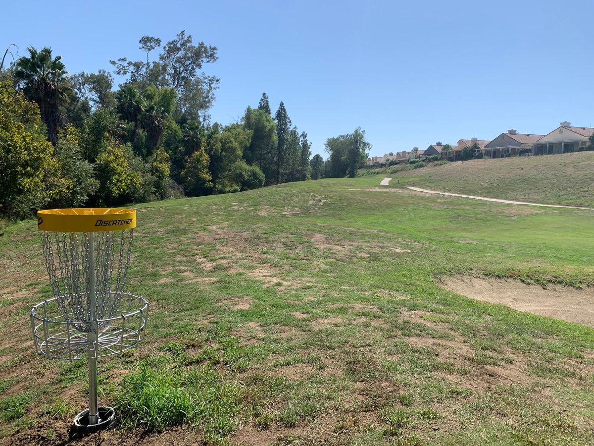 Alpha Hole 10 Basket