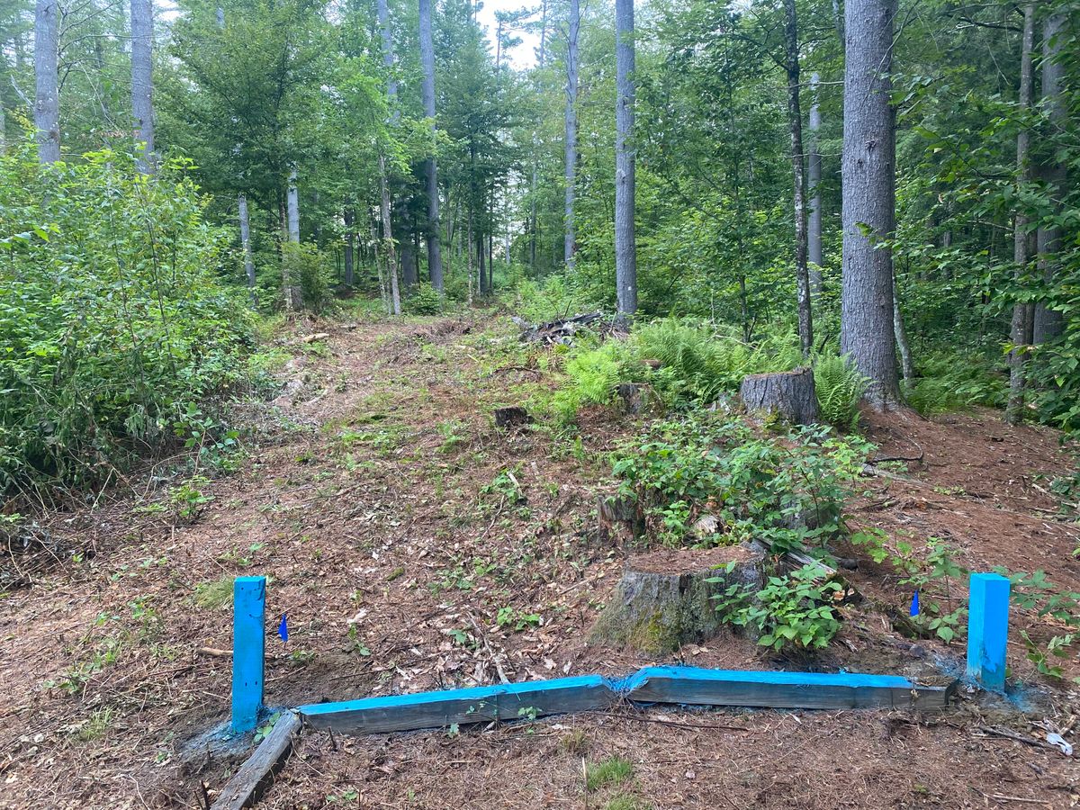 Hole 6 tee box