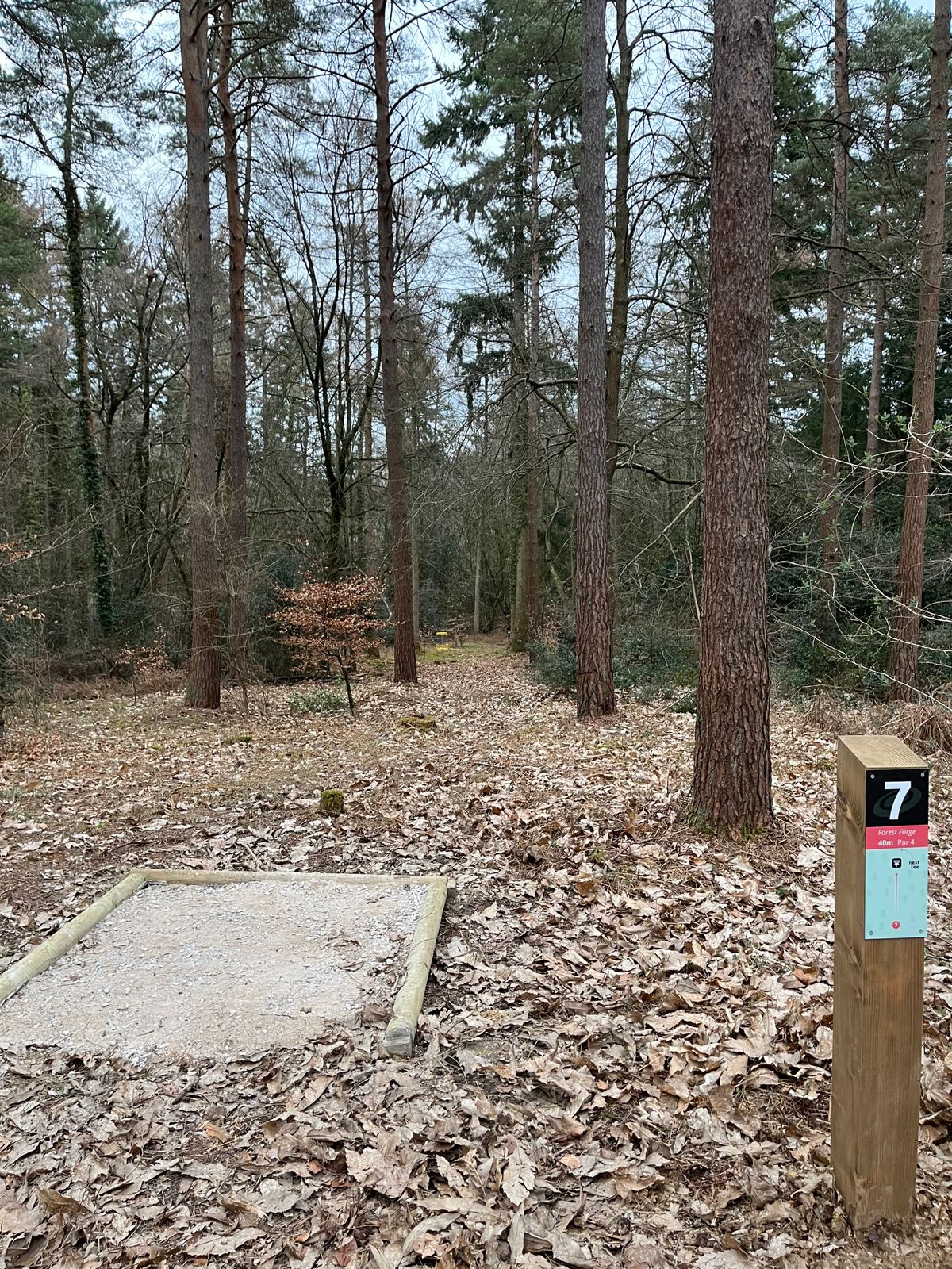 Tee 7 short