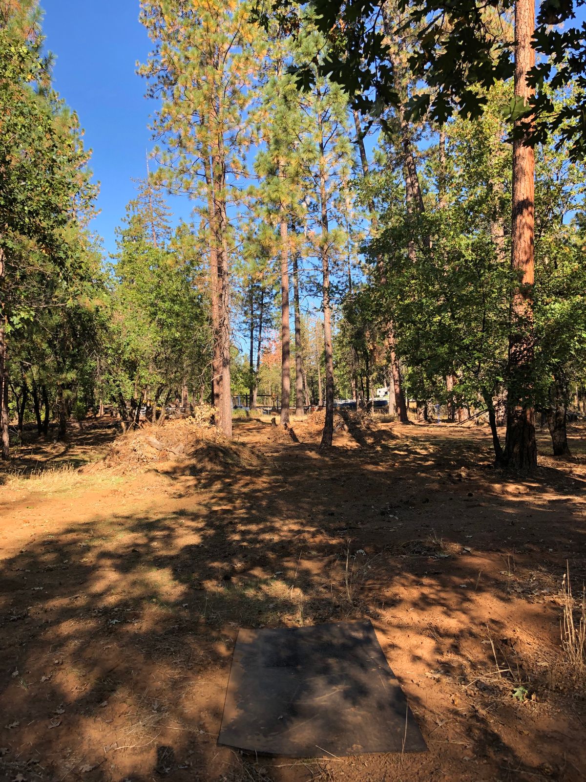Tee 6