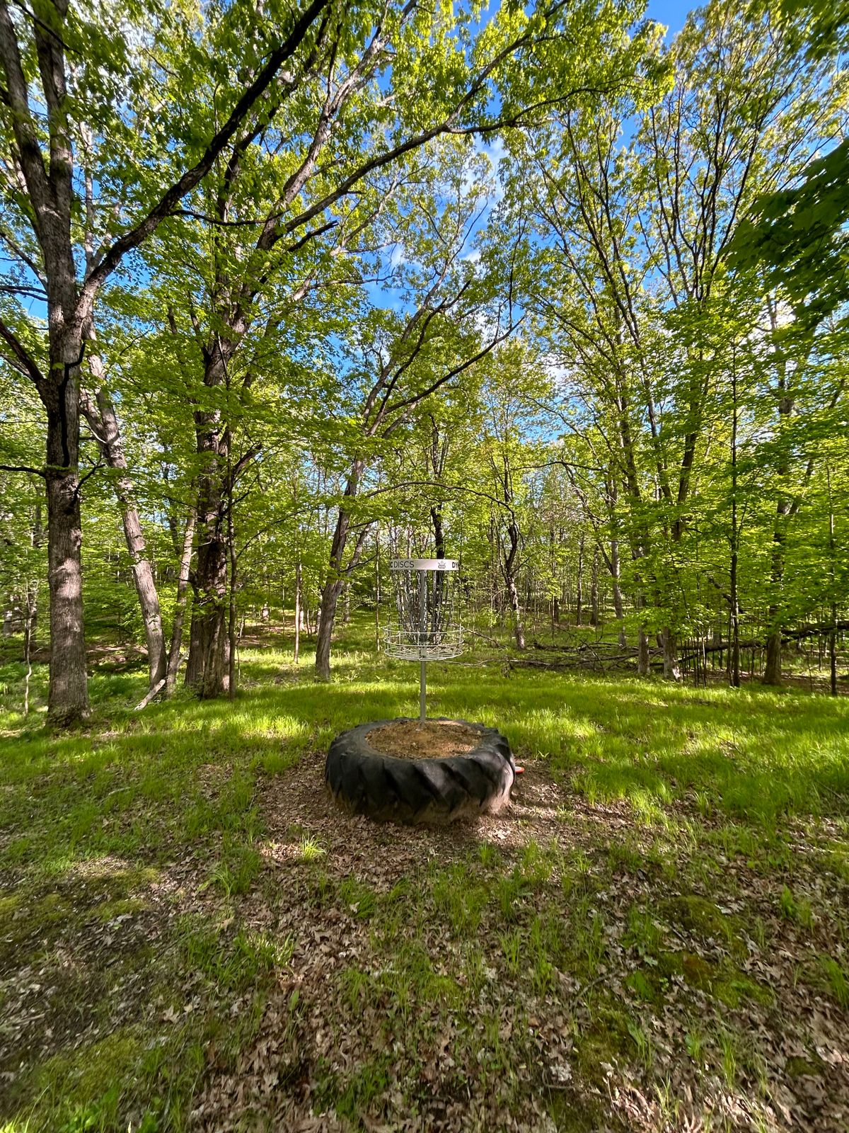 Hole 17 basket - drop off behind!