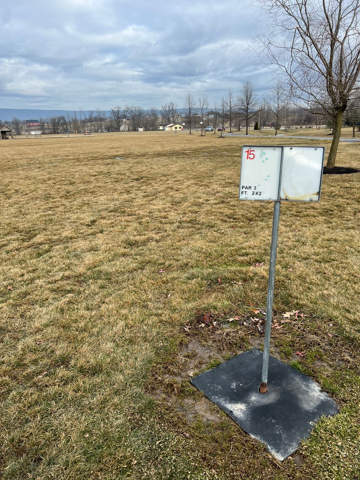 Hole 15