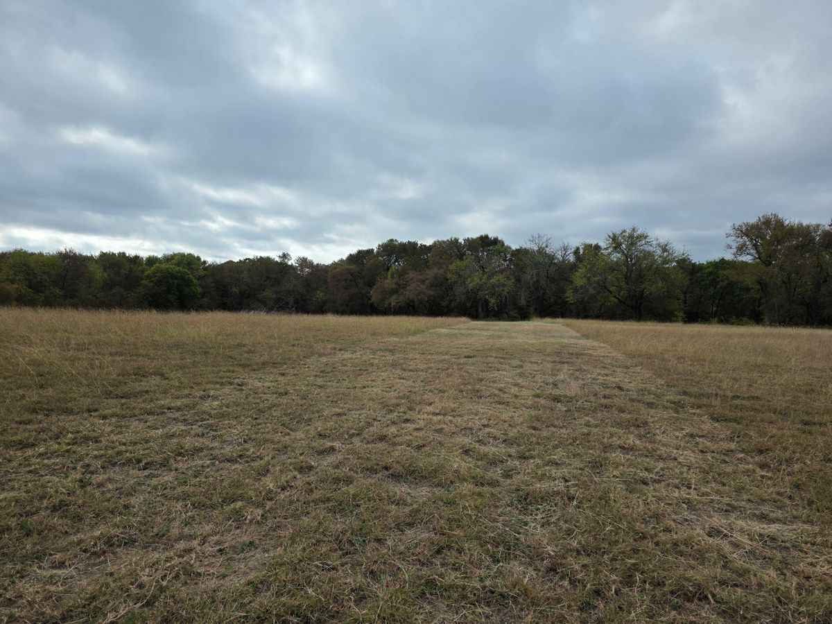 hole 5 fairway looking back at tee area just before triple fir tree left mando.