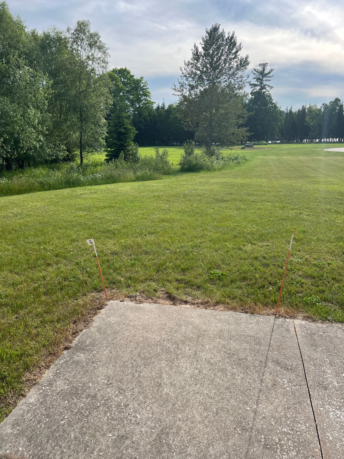 Tee pad 6 - through the gap and off to the left, tucked back into a set of trees. 