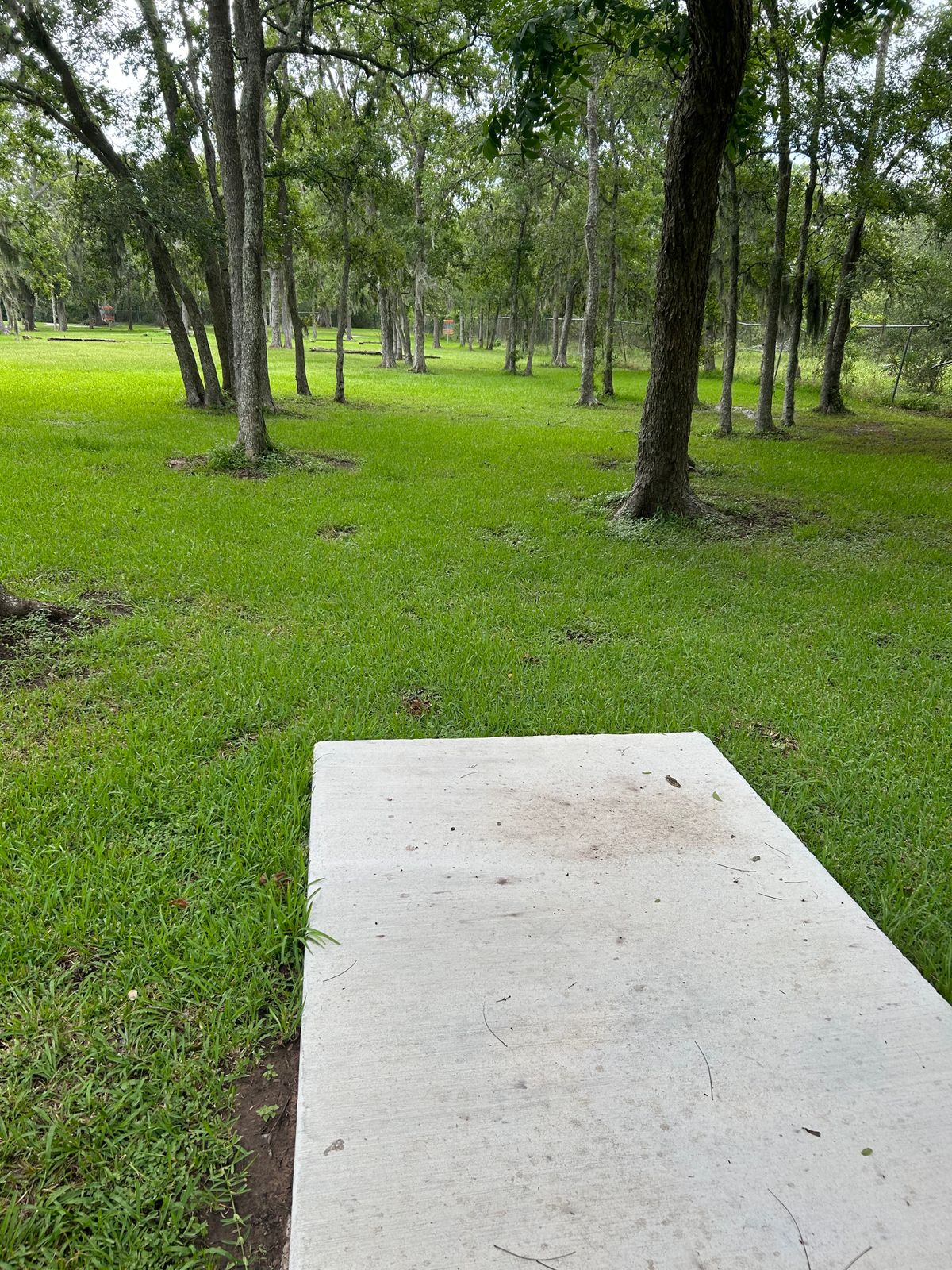 Hole 5