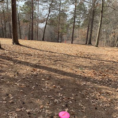 Hole 6