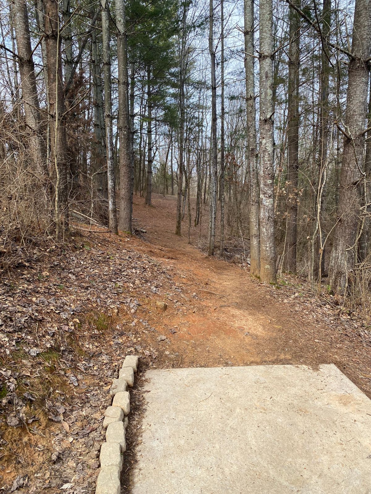 Tee pad of hole 13