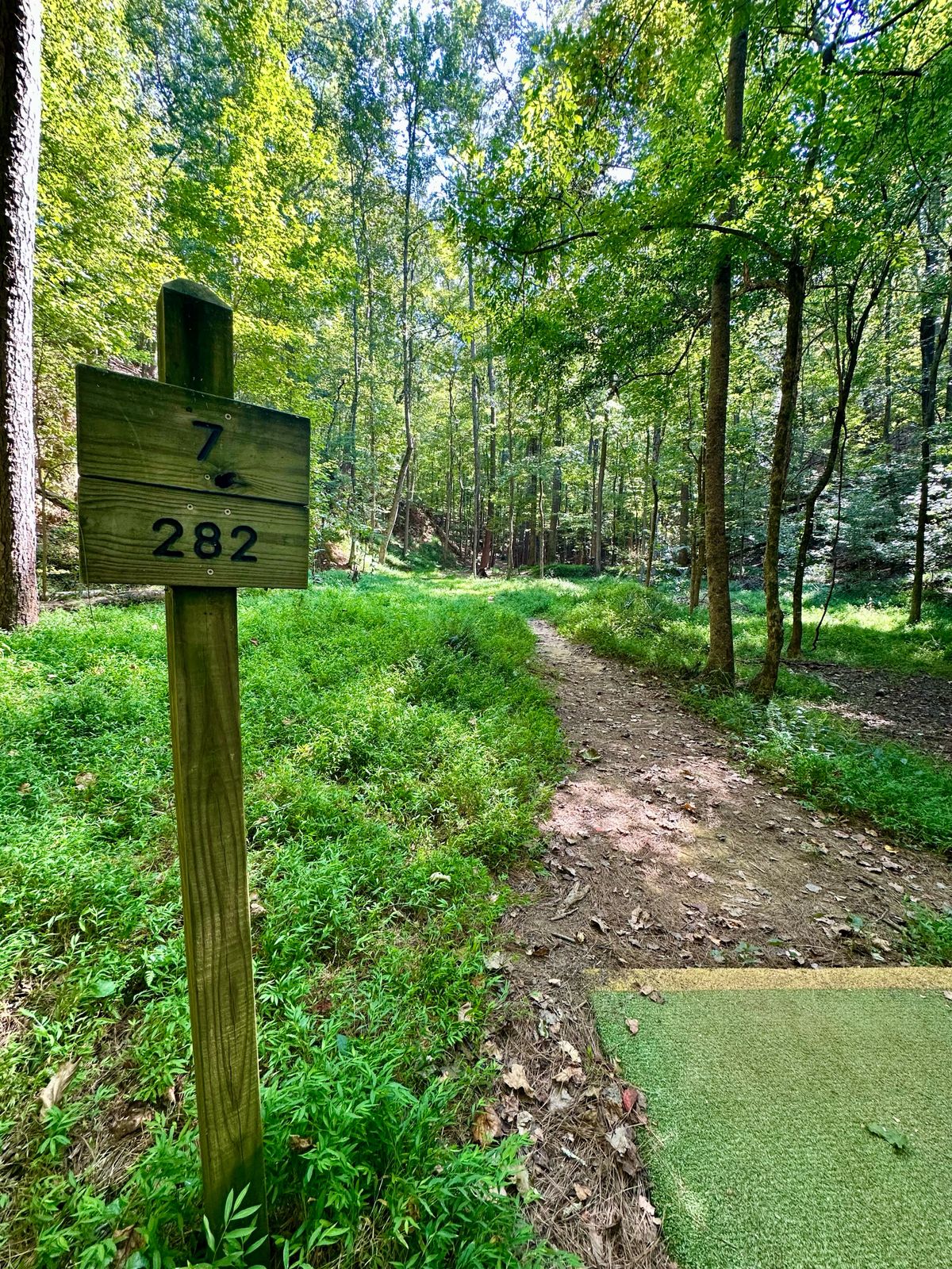Hole 7
