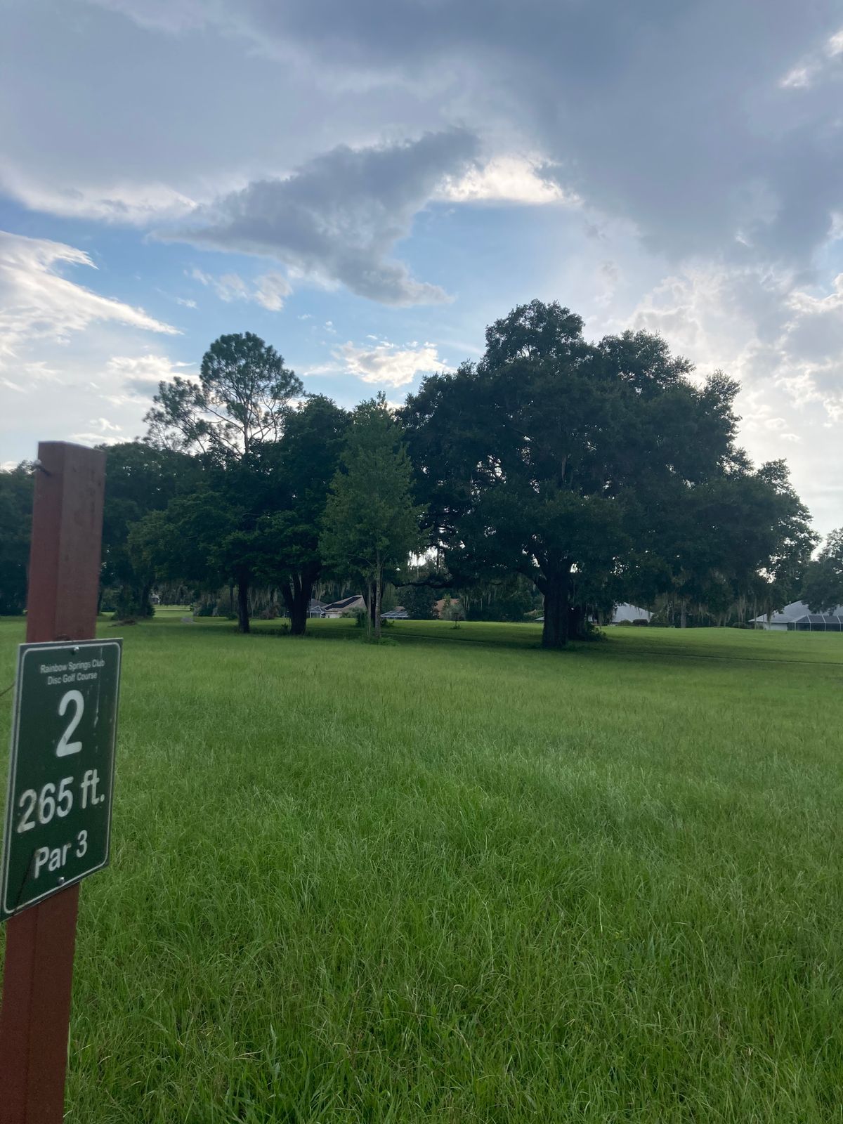 Hole 2 Tee
