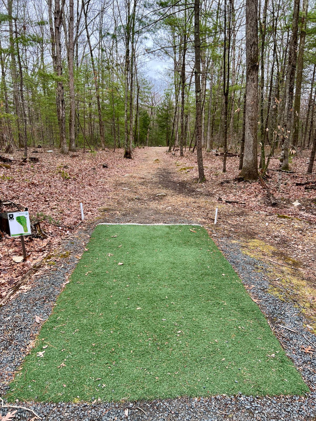 Hole #4 Tee box