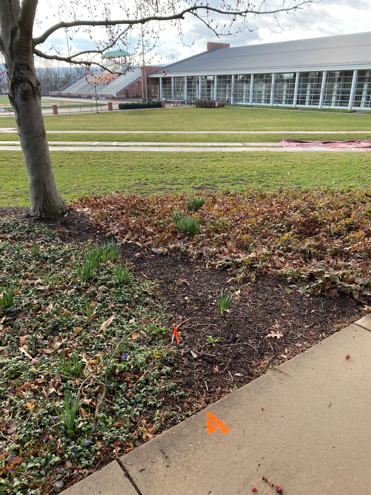Hole 4, behind Hassinger Hall, oversees the FieldHouse.
