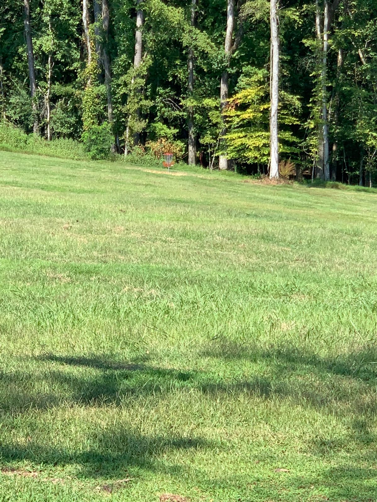 Hole 13 from tee