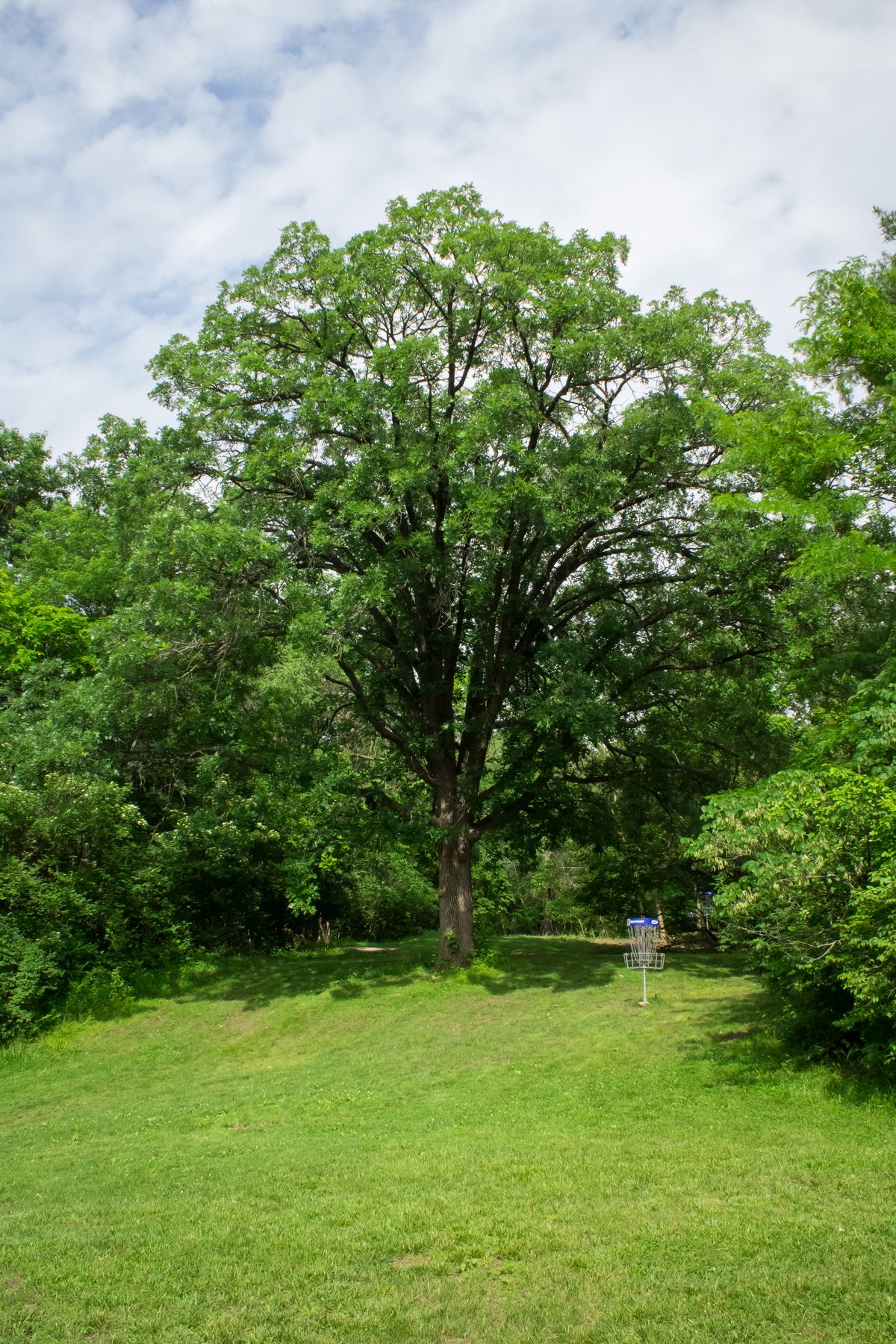 Hole 11 long