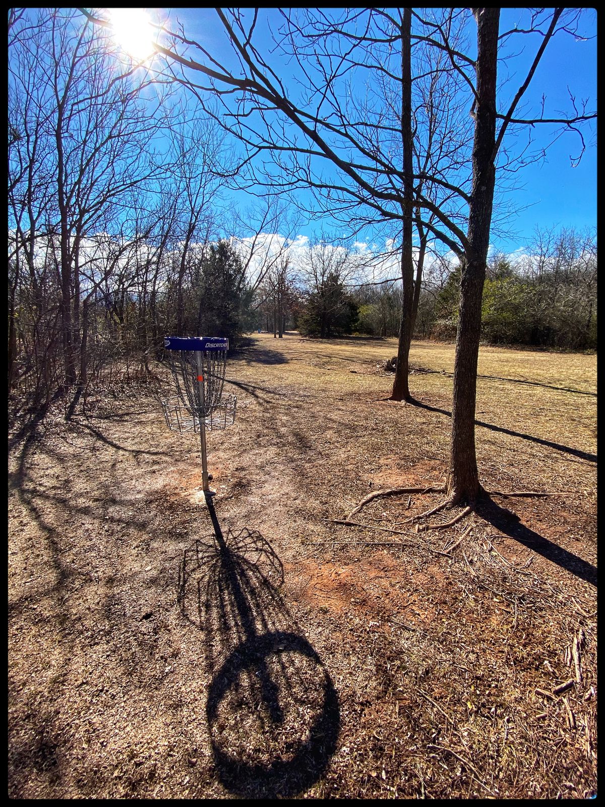 #5 green looking back at Tee