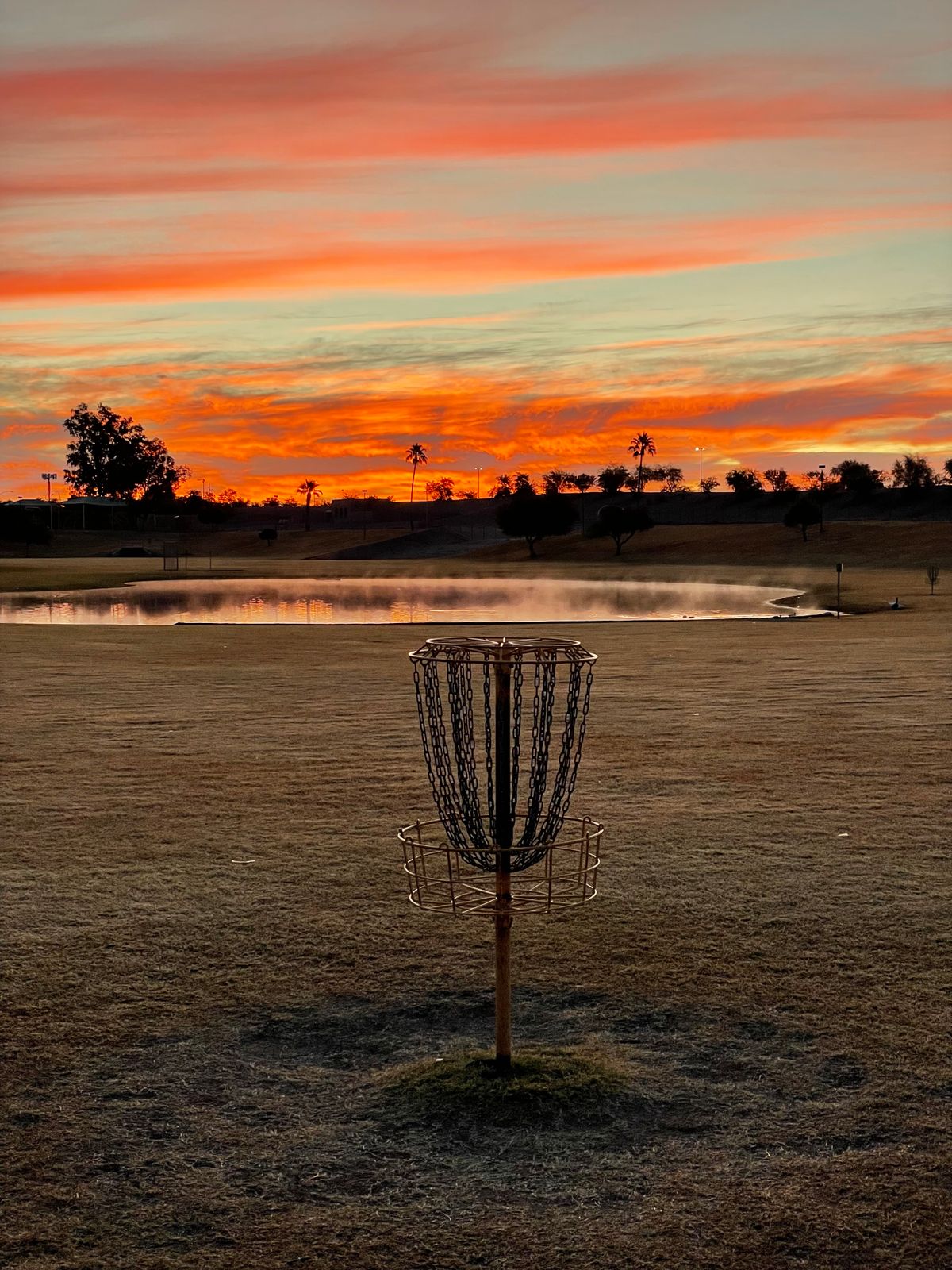 Winter in Arizona is the best time for disc golf.