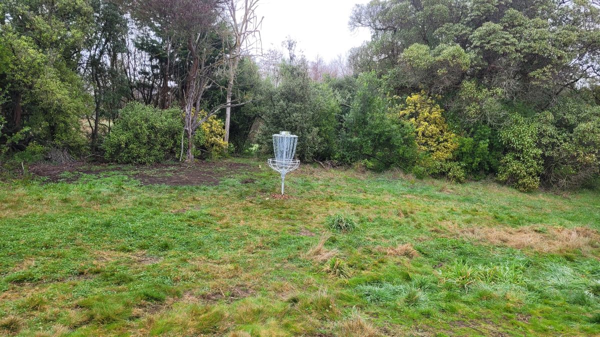 Hole 6 Basket