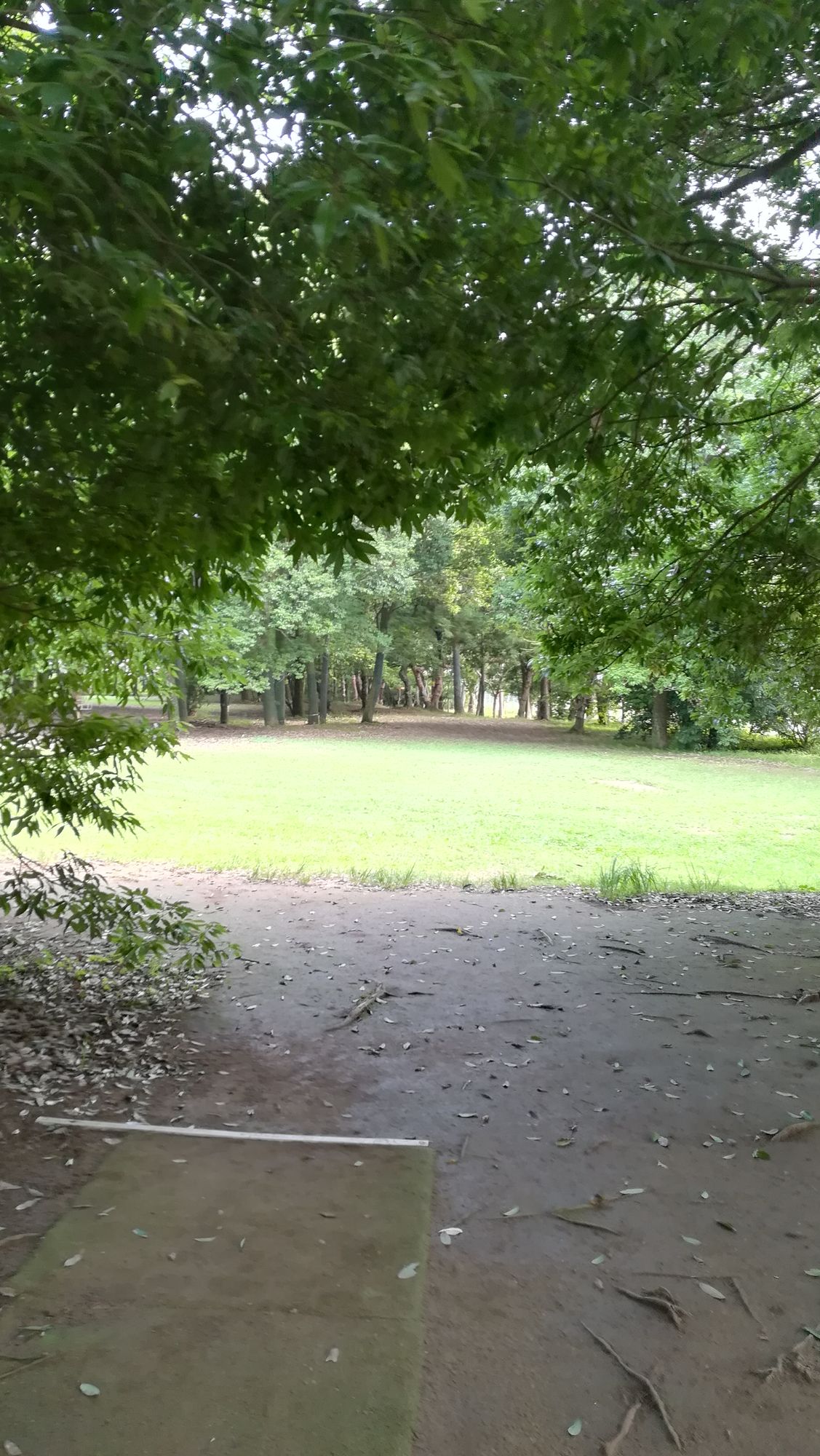Tee of hole 1. In my opinion, its the hardest on the course.