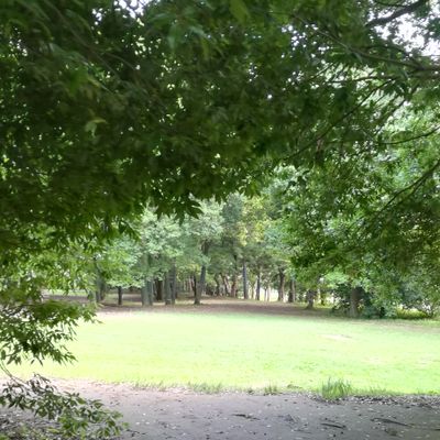 Tee of hole 1. In my opinion, its the hardest on the course.