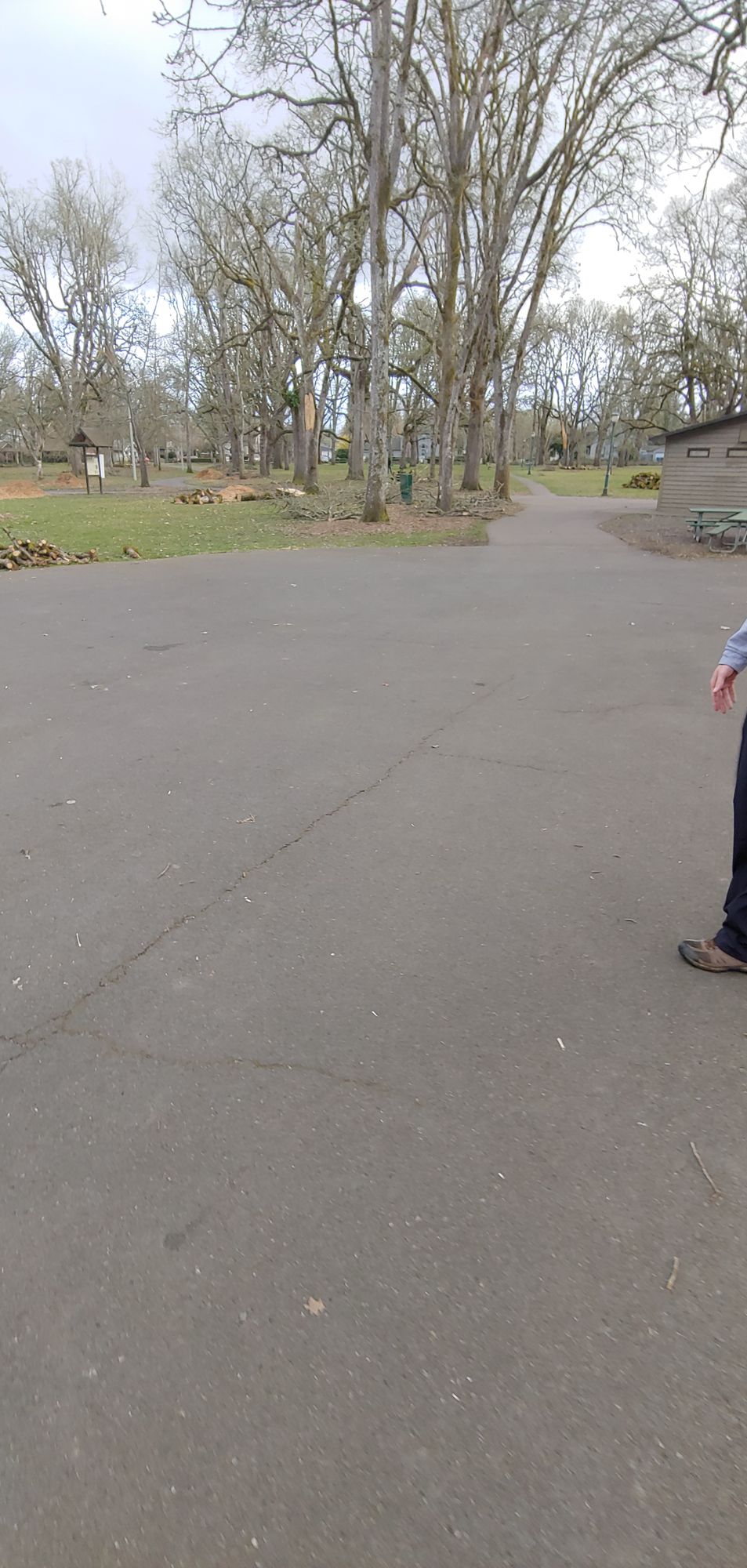 Tee 6 (at crack in pavement)
