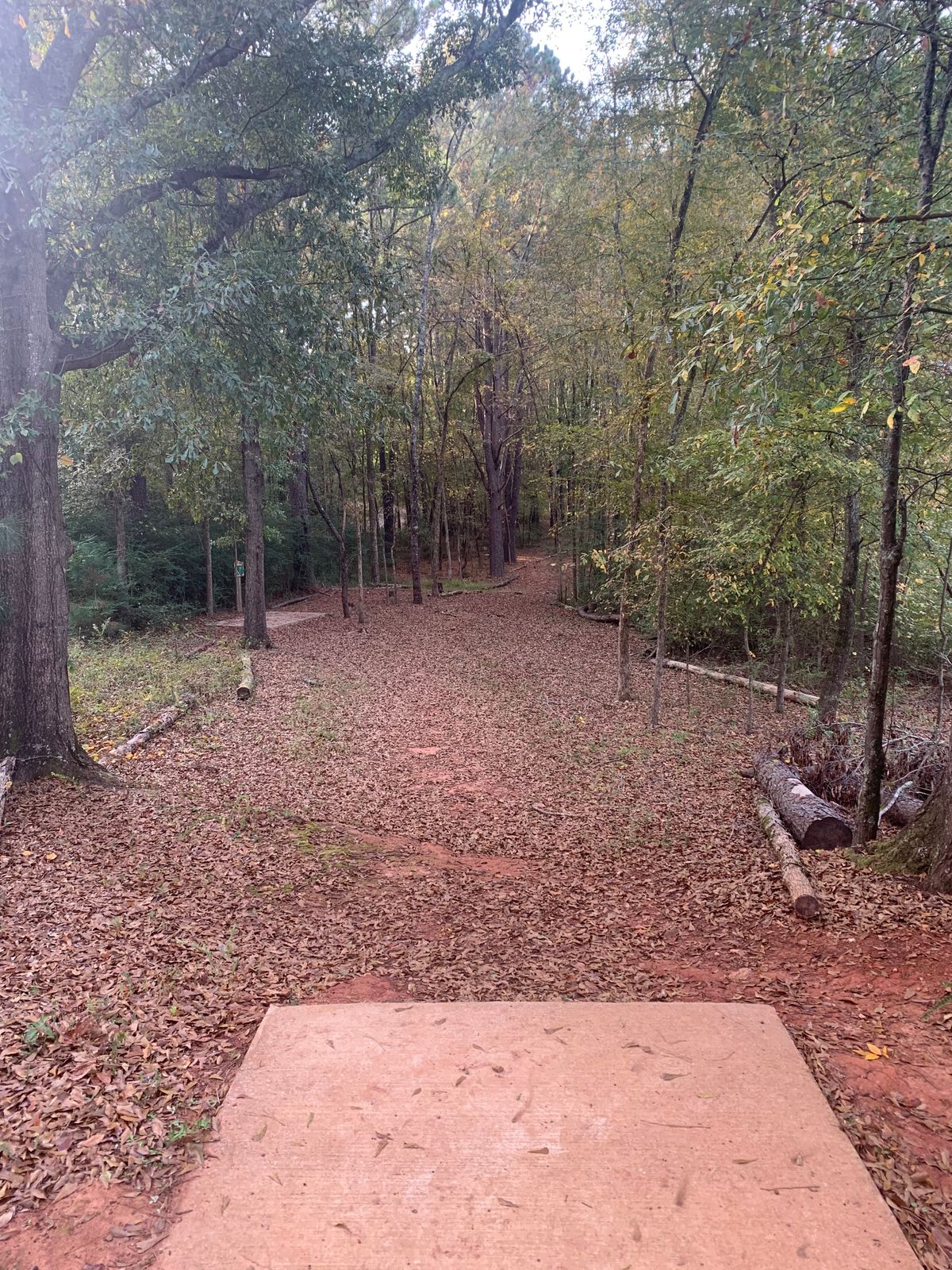 Hole 17 - Gold tee