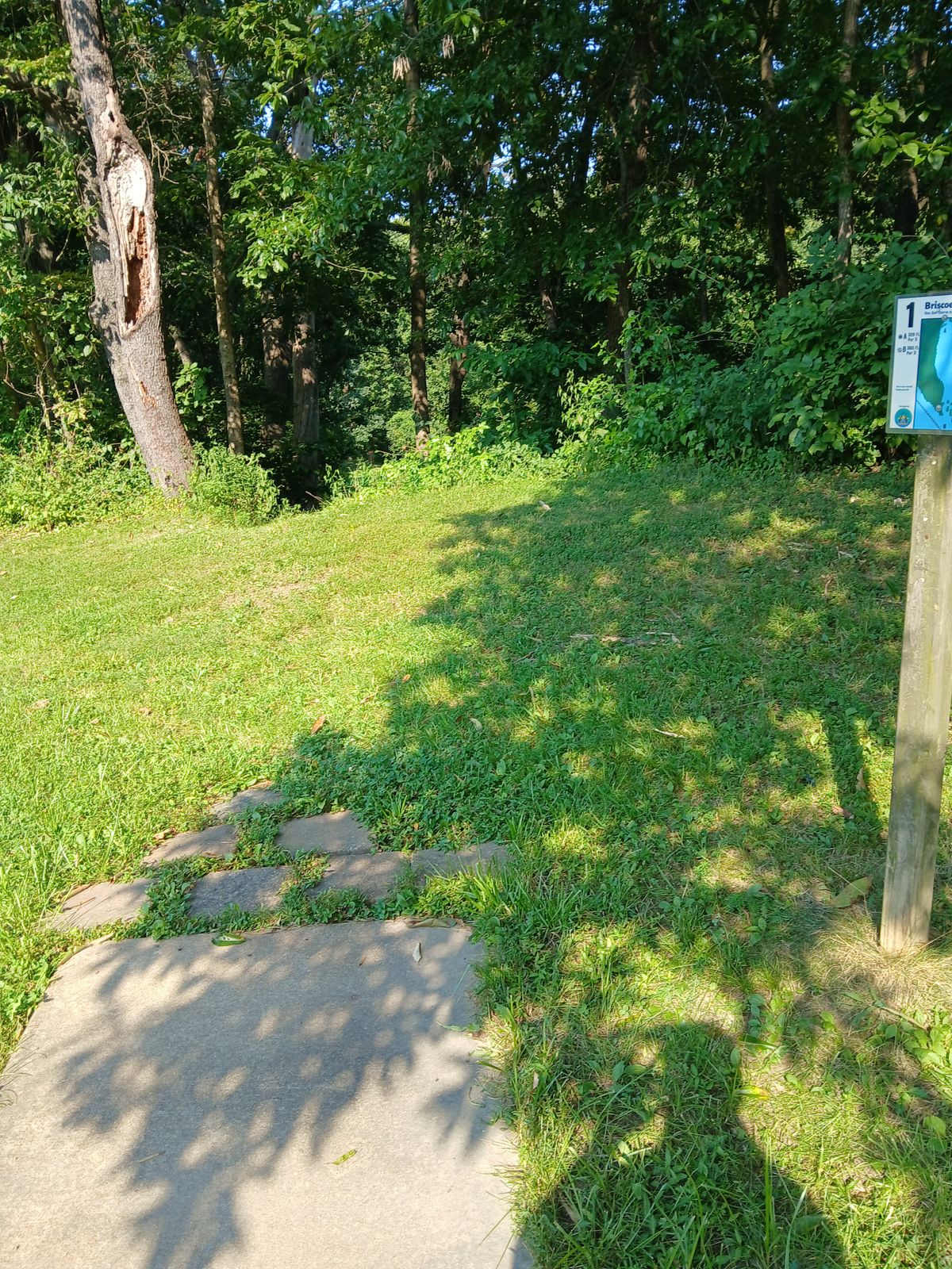 Hole 1 trying to hit the gap.
