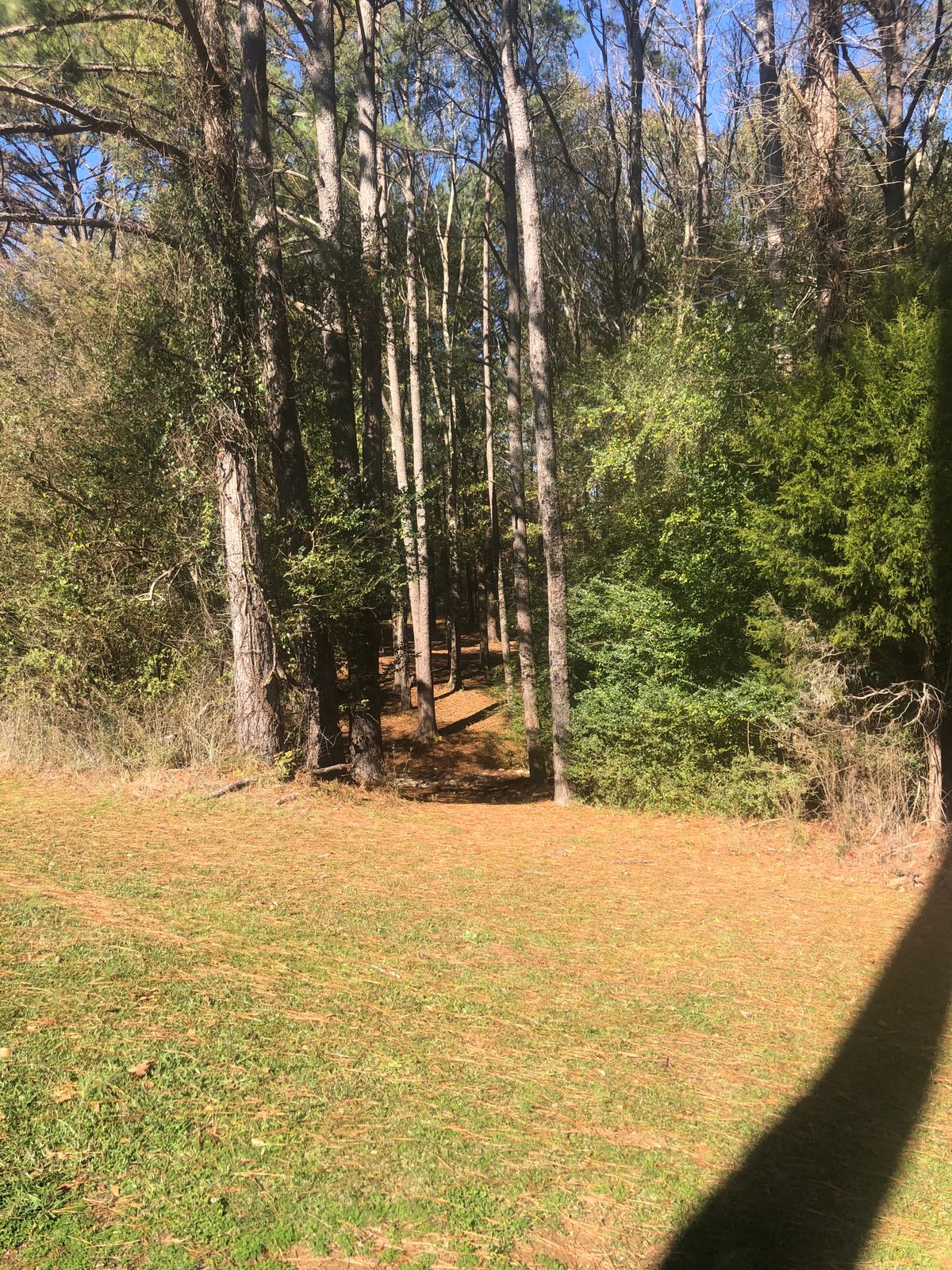 Hole 3