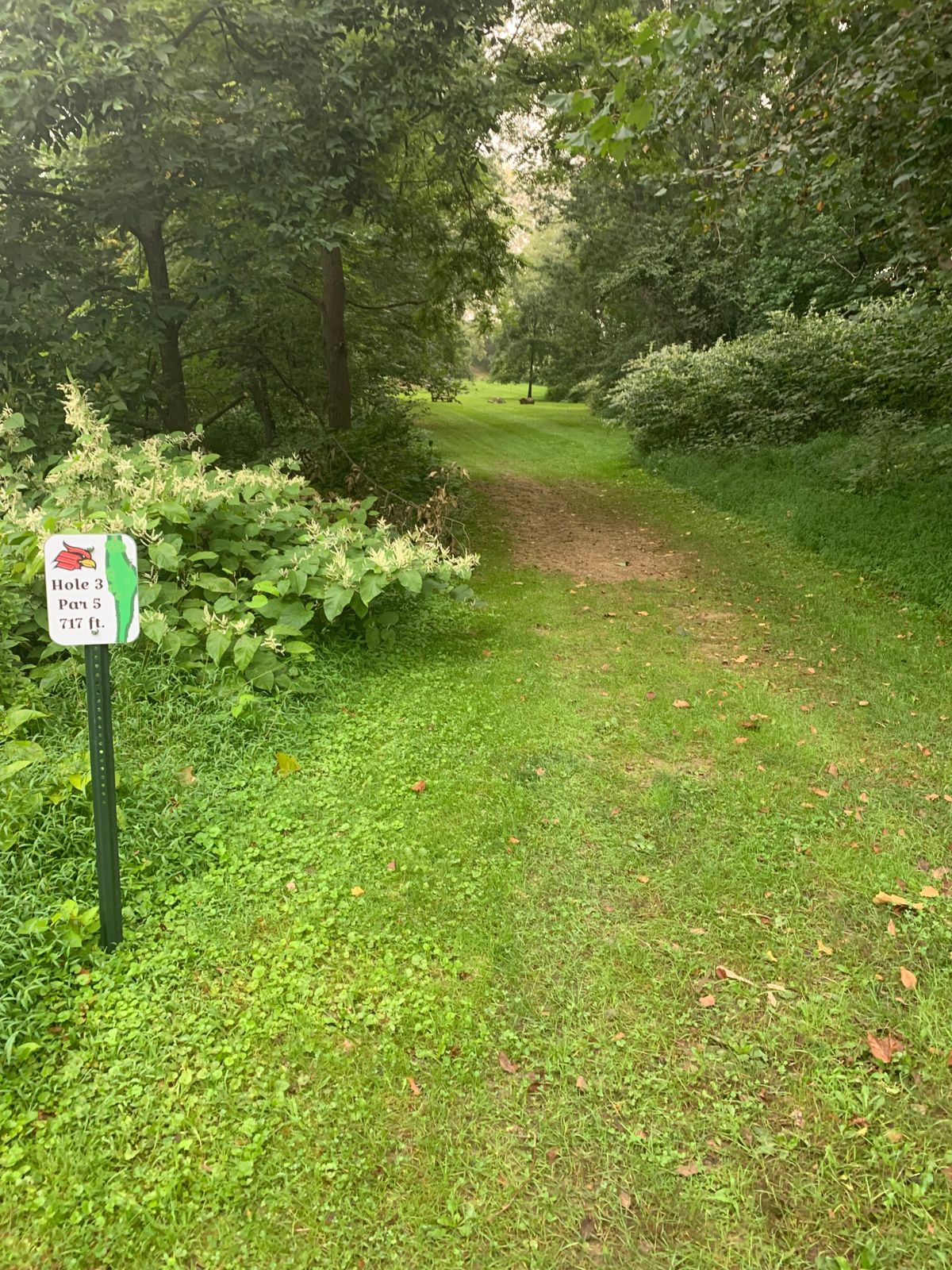 Hole #3 Tee