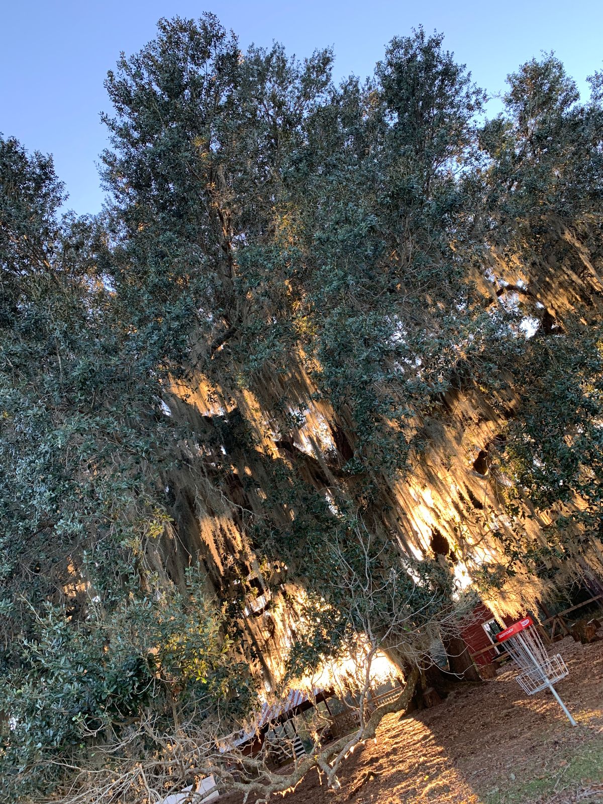 Hole 5 at sunset