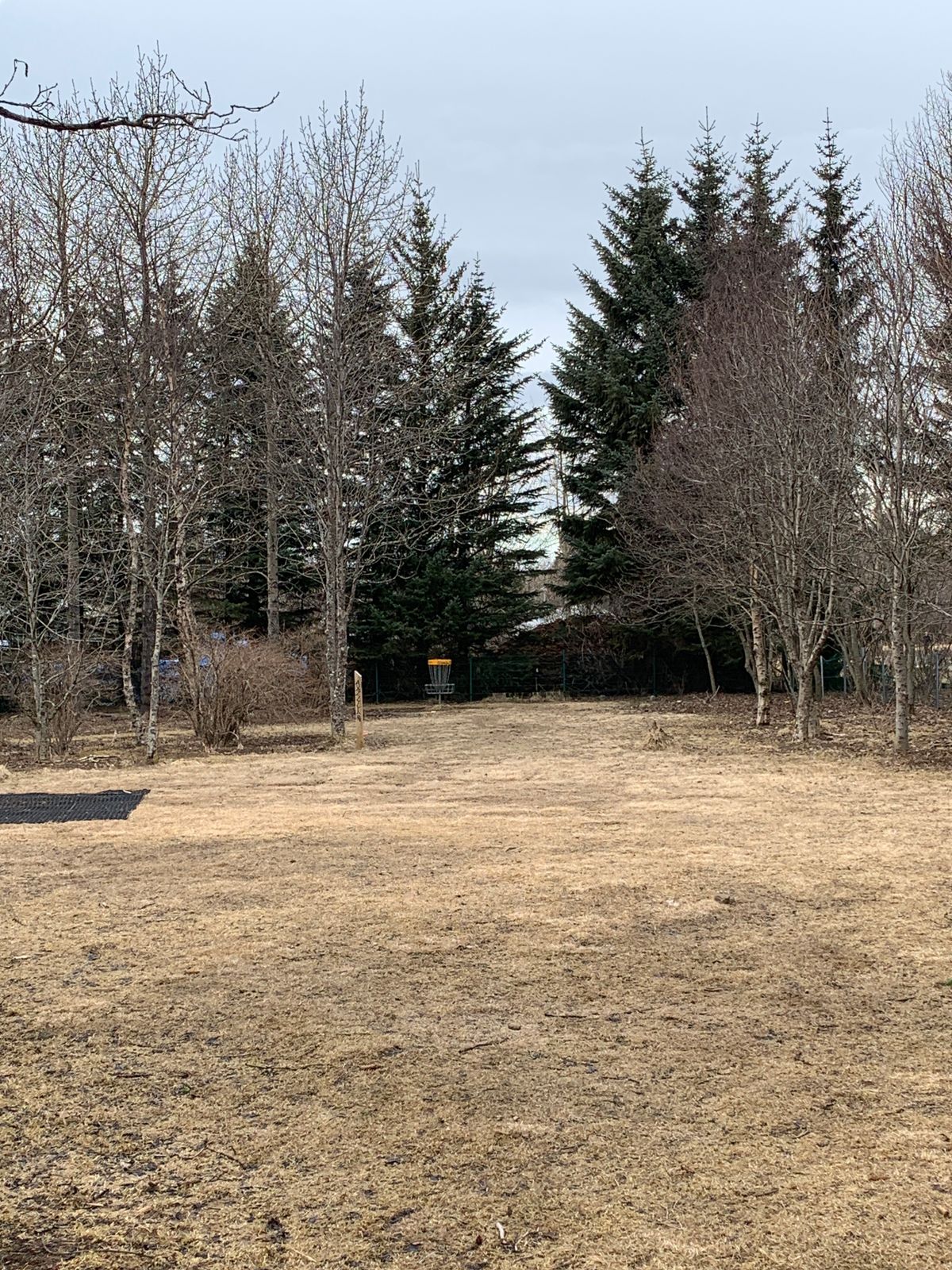 Fairway hole 2