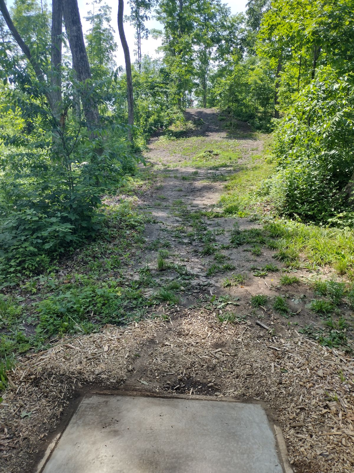 Hole 1 tee