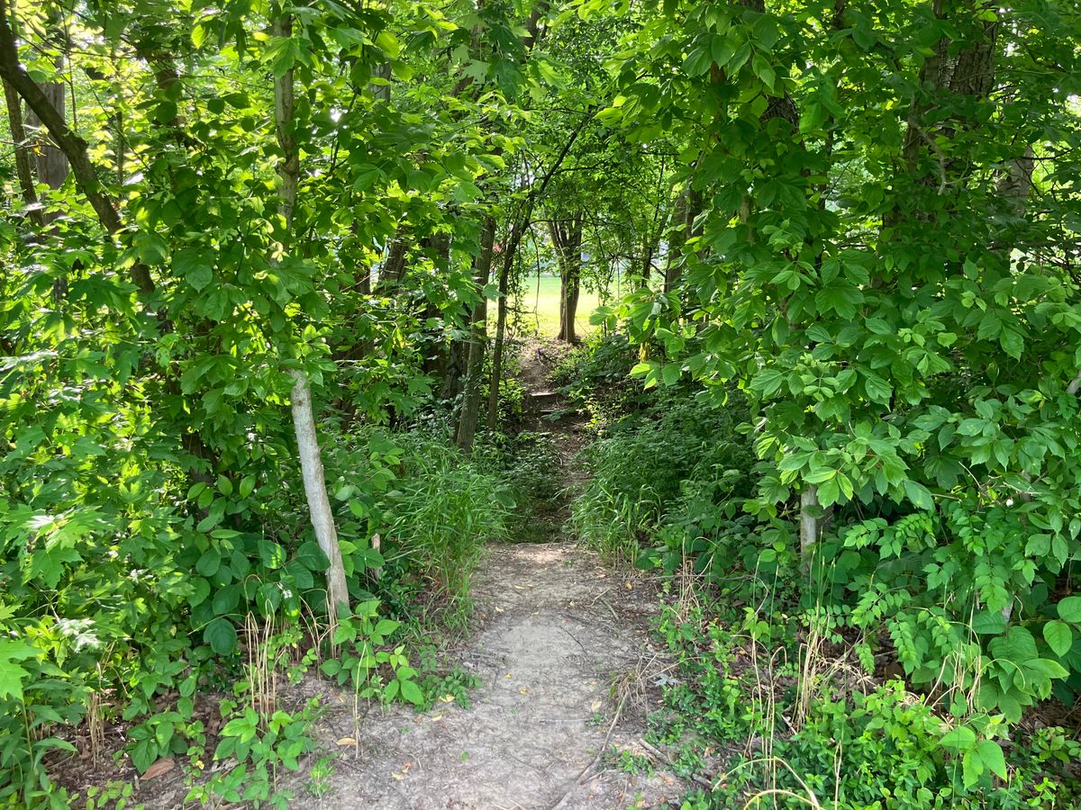 Tree Island has a walkable path to access hole 10 and hole 14.