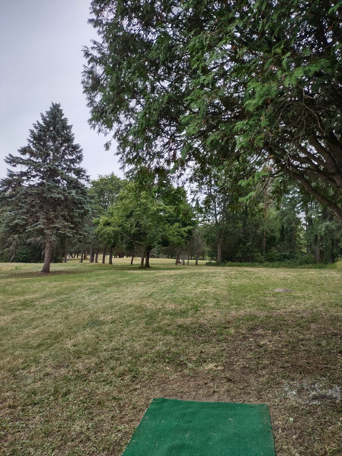 Hole 8 tee