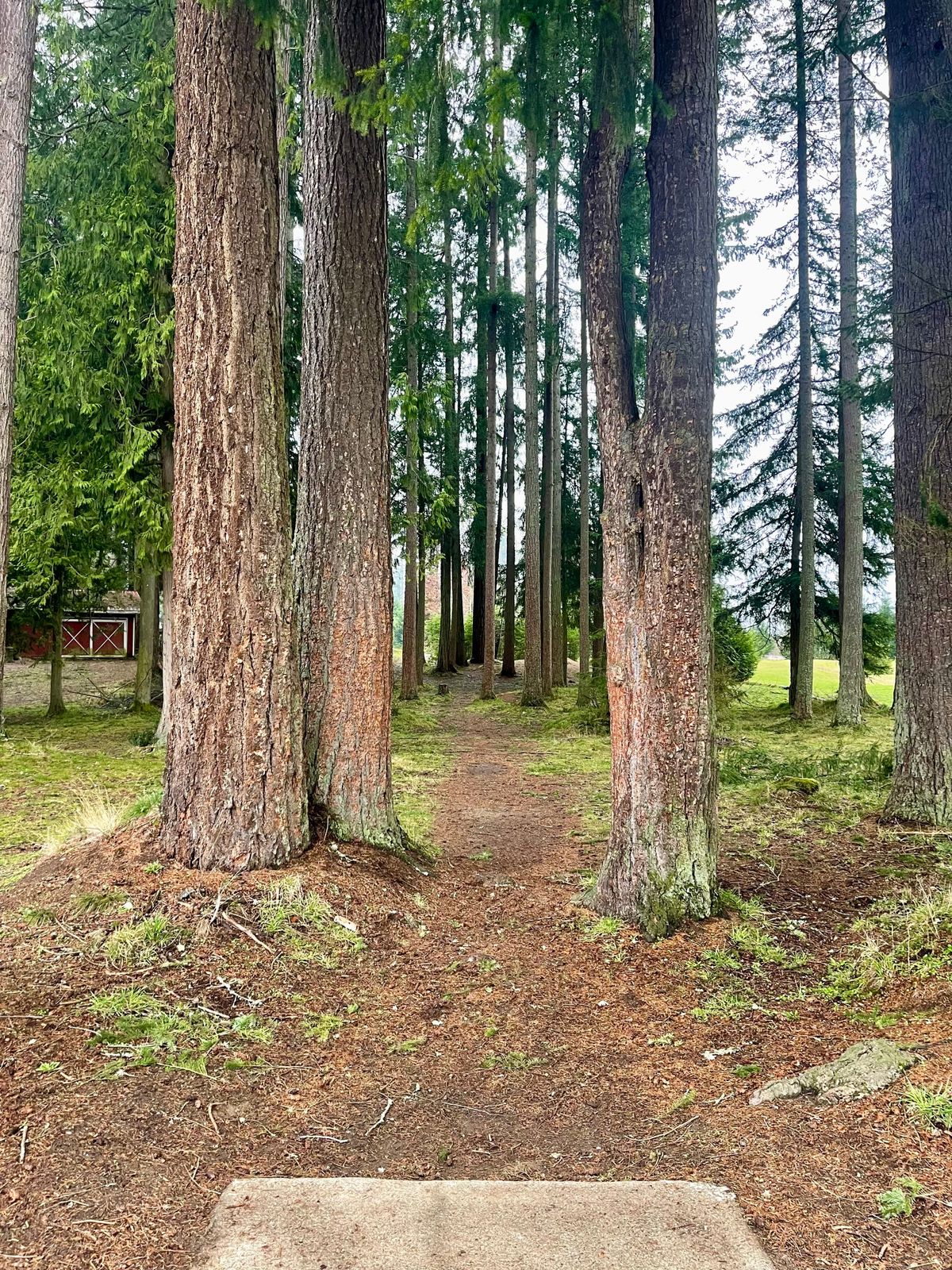 Hole 2 tee
