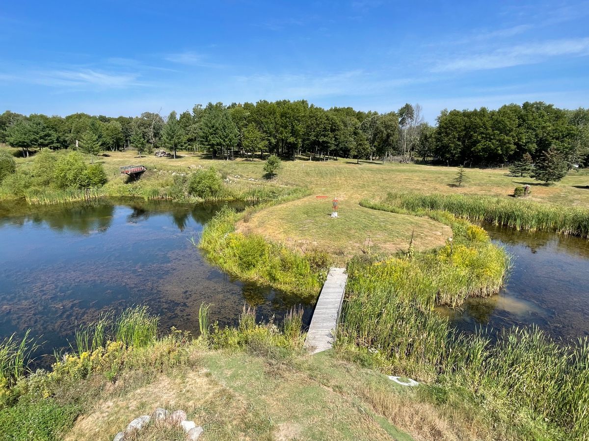 Airborn Disc Golf Hollows