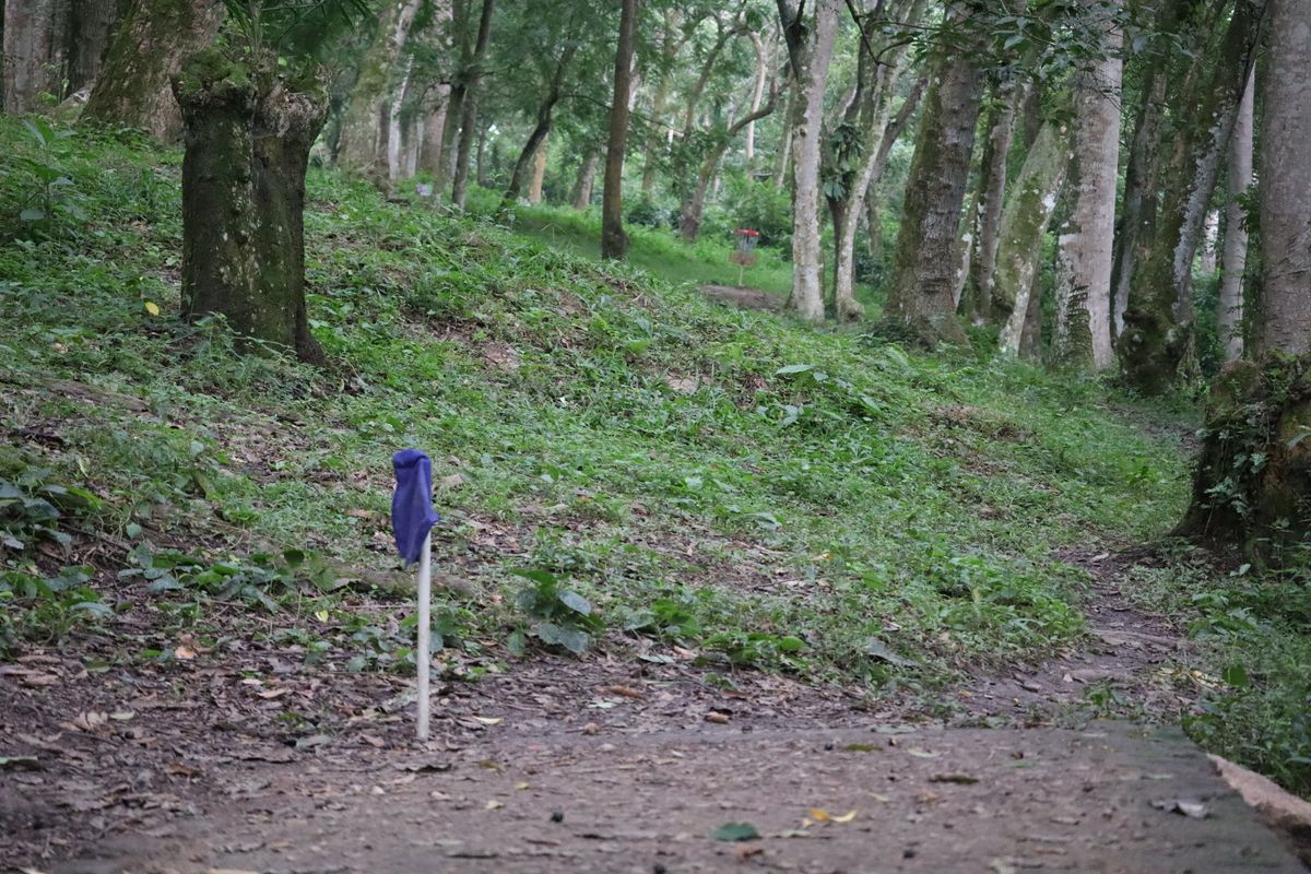 Hole 12 Long Tee