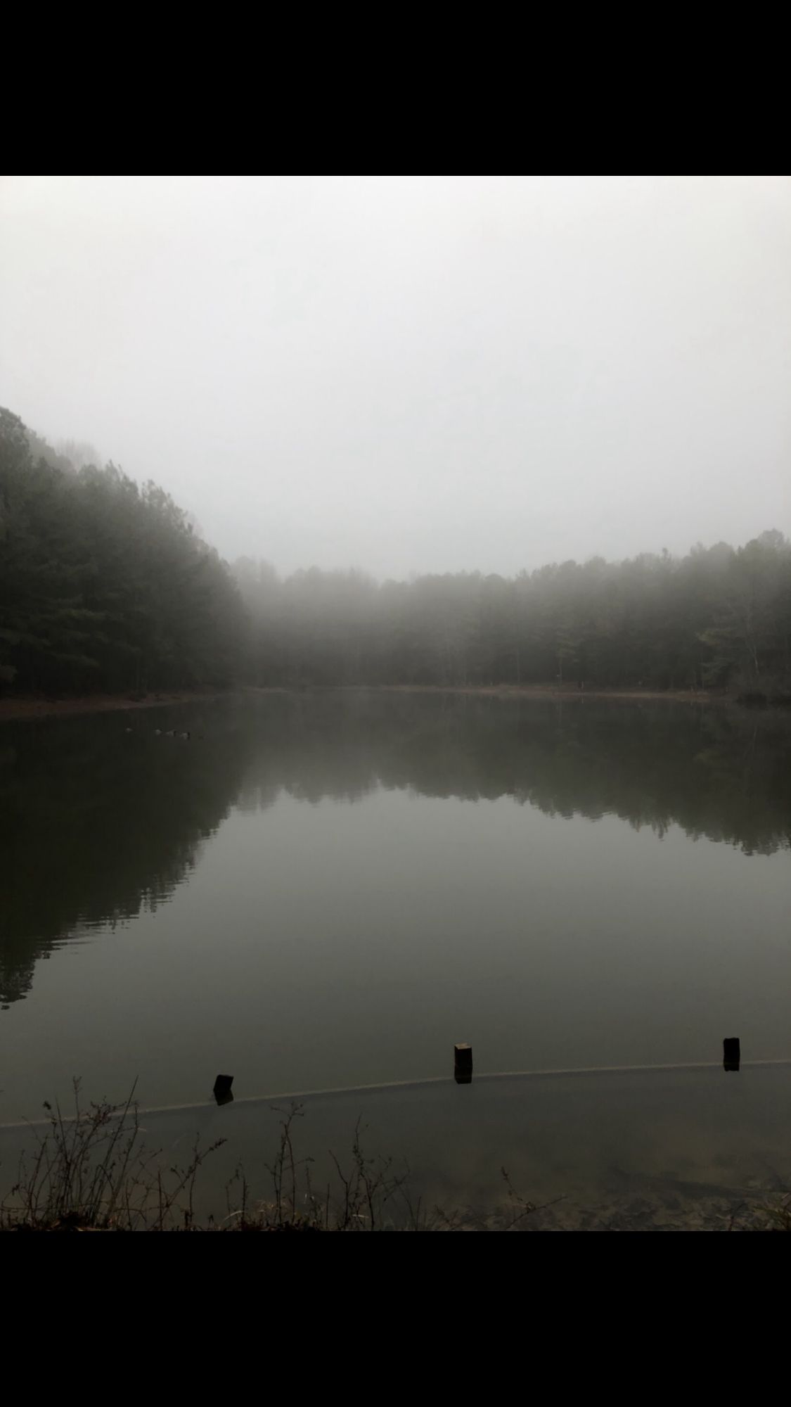 Winter view from hole 9’s basket.