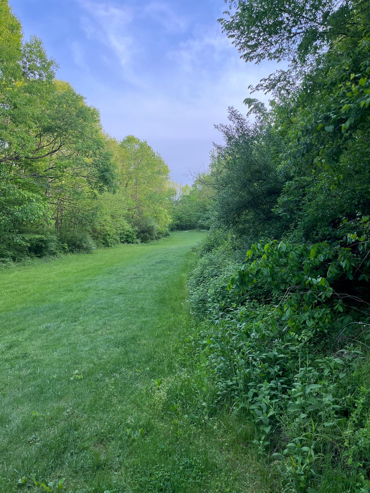 Long (800'+) par 5 , #17 , view from the tee