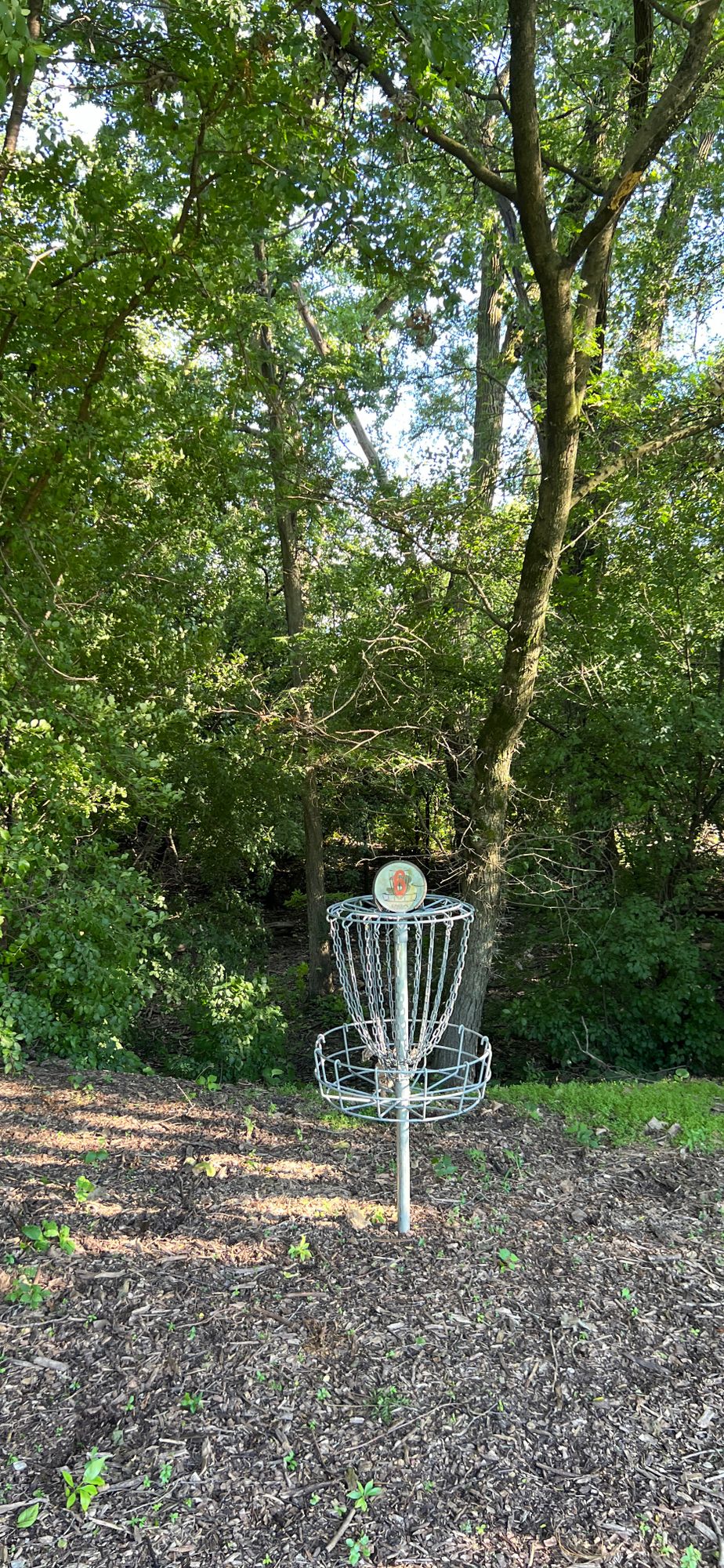 Hole 6 - June 2024