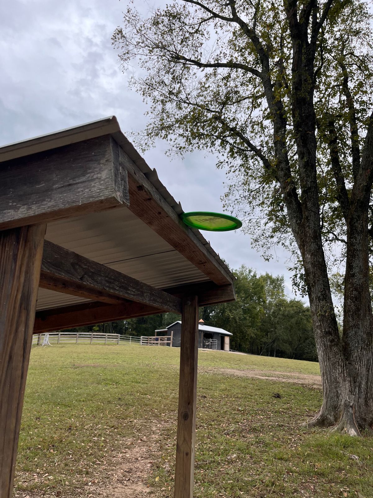 Disc golf Robin Hood?