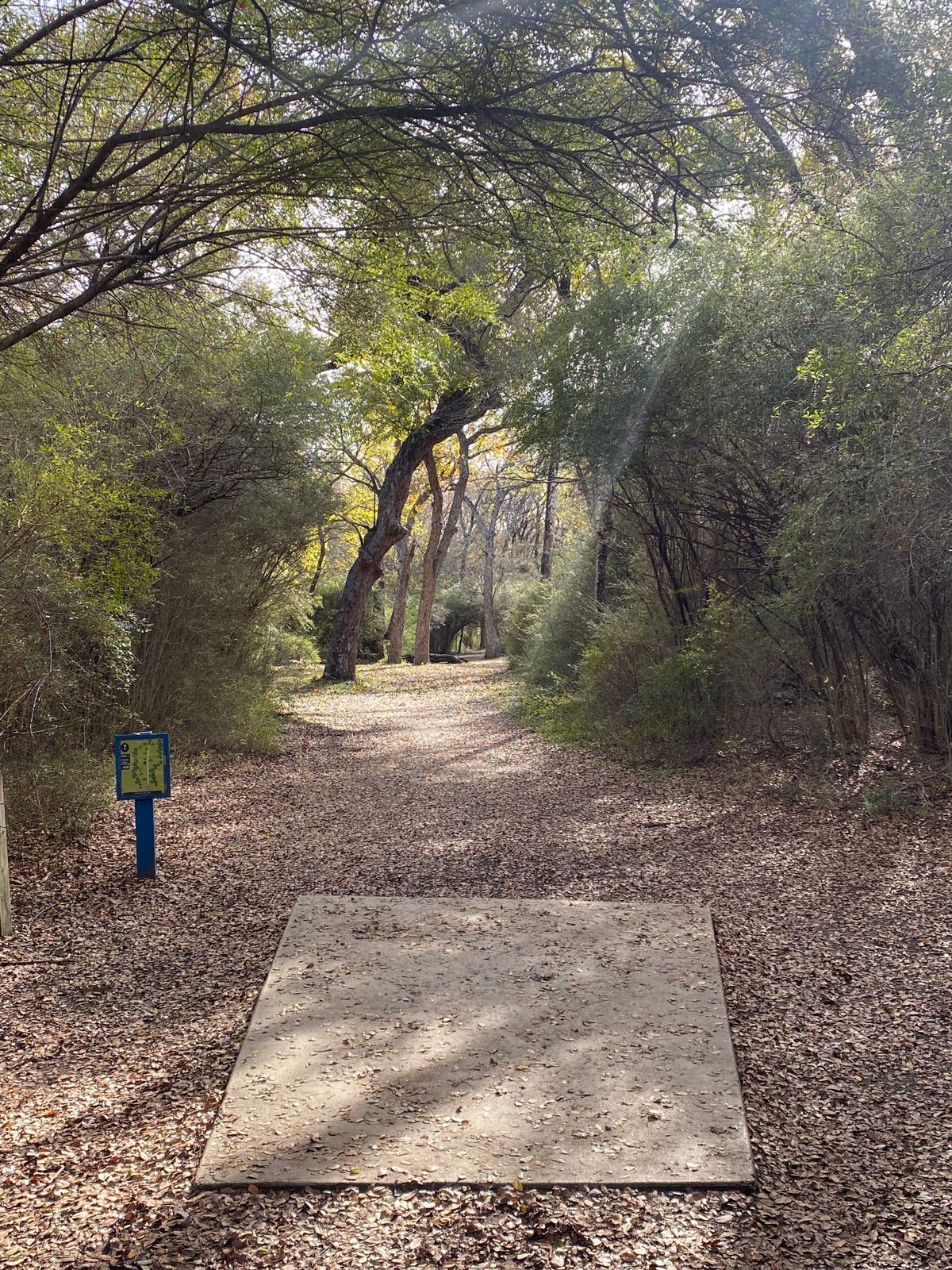 Hole 7